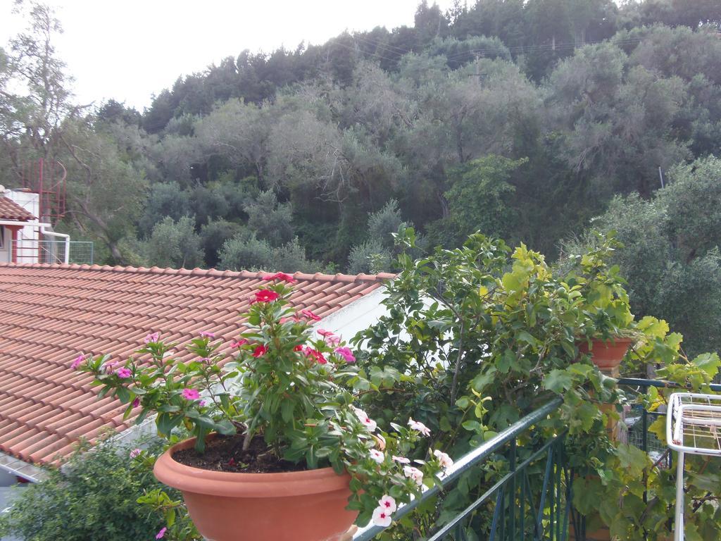 Konstantina Apartment Lakka  Luaran gambar
